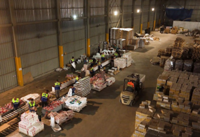 قامت FK Logistics بتسليم مساعدات غذائية إلى قطاع غزة بالتعاون مع HCI و GEM